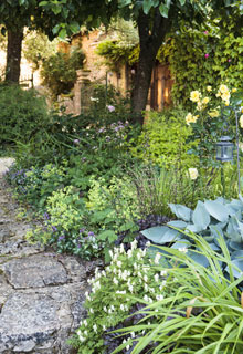 Create a flowering border like a painter