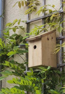 The right place for a nesting box