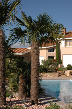 Pool Shrubs