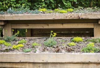Create a green roof