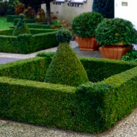 Pyramidal shaped Common Box
