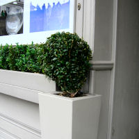 Ball shaped Common Box