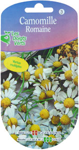 Roman Camomile - Chamaemelum nobile