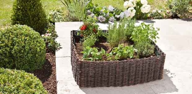 Wicker grow square