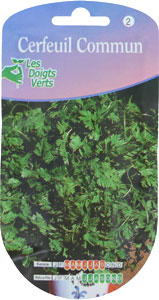 Chervil - Anthriscus cerefolium