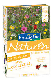 Flowers that Attract Ladybirds - Plant care, treatments