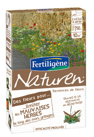 Flowers for Reducing the Growth of Weeds along Walls and Fences - Plant care, treatments