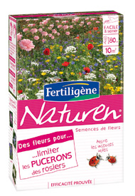 Flowers for Limiting Aphids on Roses - Plant care, treatments