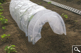 Easy tunnel - Accordion style tunnel