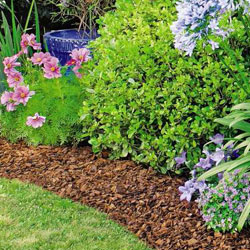 Maritime Pine Bark - Graded 10-25 Natural mulch