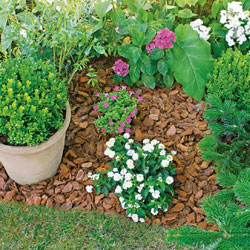 Maritime Pine Bark - Graded 20-40 Natural mulch