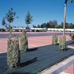 Plastic Mesh Tree guards against rabbits and hares - h 60 cm - diameter 14 cm