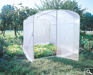 Greenhouse Luna +
