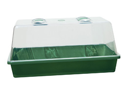 Mini-greenhouse for seedlings