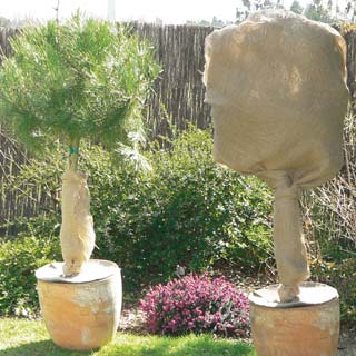 Protection in jute - NATUREROLL