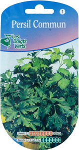 Parsley - Petroselinum crispum