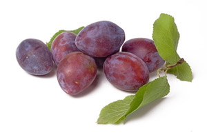 Plum tree 'Pr�sident'