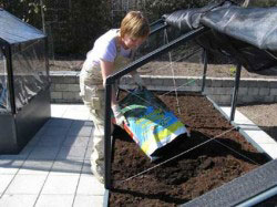 Raised Vegetable Plot Growcamp