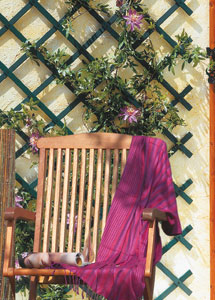 Wall Expandable Plastic Trellis 100 x 300 cm