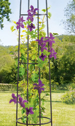 Metal Column 4 Feet 200 cm