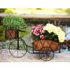 Planter Tricycle in Metal