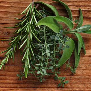 buy-aromatics-plants-uk