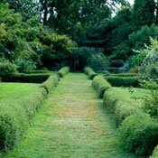 border-hedge-low-hedge-uk