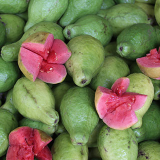 buy-guava