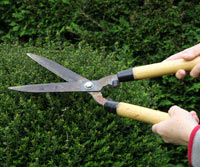 How to choose your pruning equipment