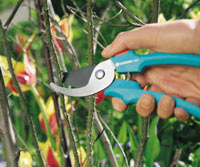 How to choose your pruning equipment