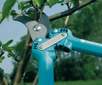 How to choose your pruning equipment