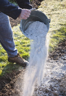 Wood's ashes, a real treasure for the garden