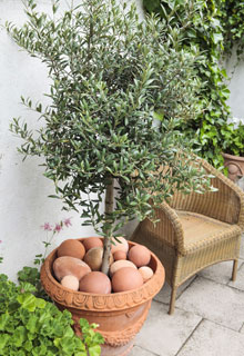 Create a Mediterranean corner