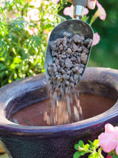 Place 3 to 5 cm of draining matter at the bottom of the pot before adding compost 