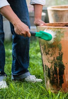 Look after your pots to make them last