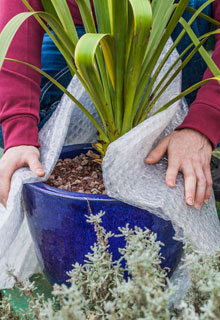 Look after your pots to make them last