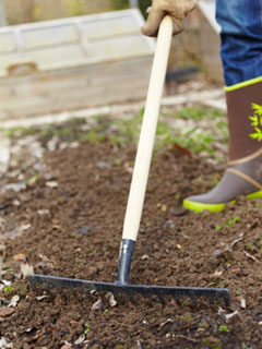 Prepare the soil as if you were about to plant or sow.