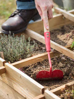 The false sowing method also works well in small vegetable gardens