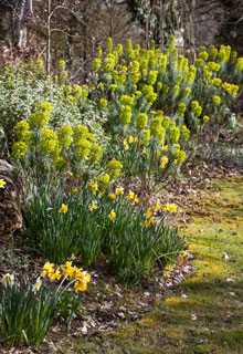 Have a go at a natural garden