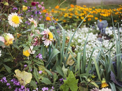 Combine vegetables with flowers