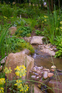 Shrubs and trees with stones