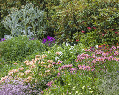 Create a flowering border like a painter
