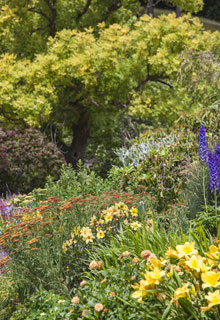 Create a flowering border like a painter