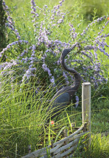 Create a flowering border like a painter