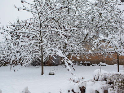 What to do when there is snow in the garden ?