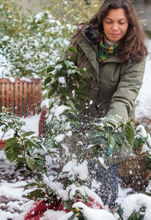 What to do when there is snow in the garden ?