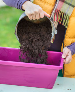 Clean up your pots and window boxes