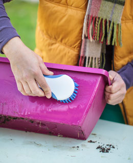 Clean up your pots and window boxes