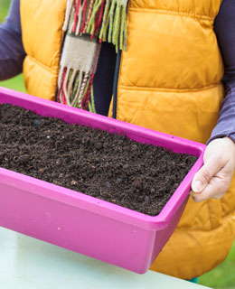 Clean up your pots and window boxes