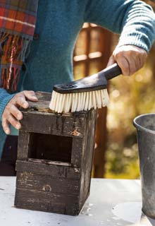 The right place for a nesting box